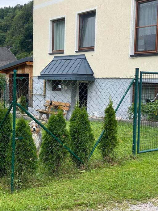 Gemuetliche Kleine Wohnung Mit Garten Unterburg  Exterior photo