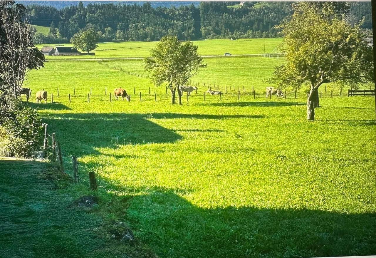 Gemuetliche Kleine Wohnung Mit Garten Unterburg  Exterior photo